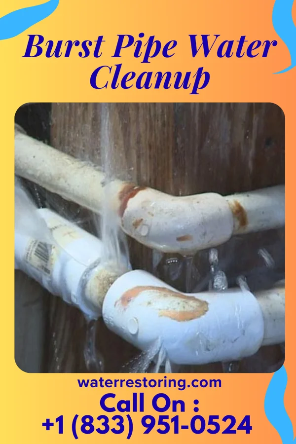 Burst Pipe Water Cleanup in American Fork, UT