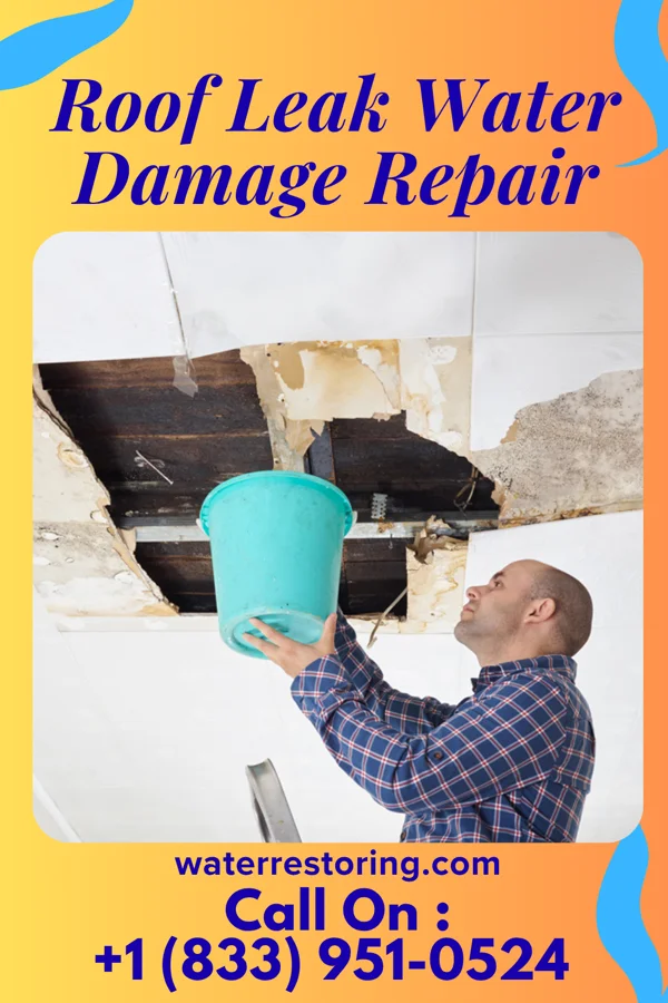 Roof Leak Water Damage Repair in American Fork, UT
