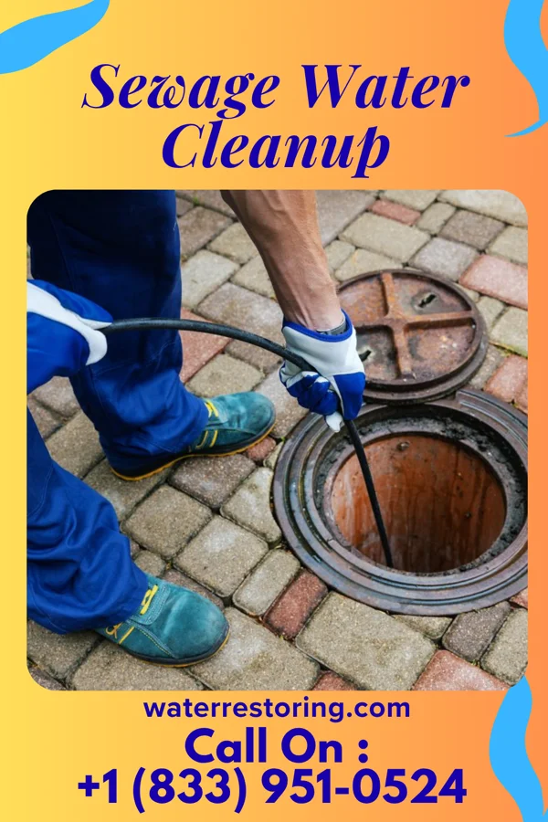 Sewage Water Cleanup in American Fork, UT